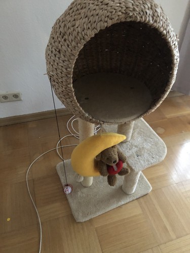 Schöne sehr gut erhaltene - sehr,