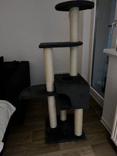 Kratzbaum verkaufen - kratzbaum, –