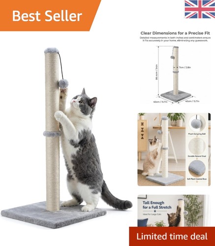 Robuster katzenbaum - katzenbaum,