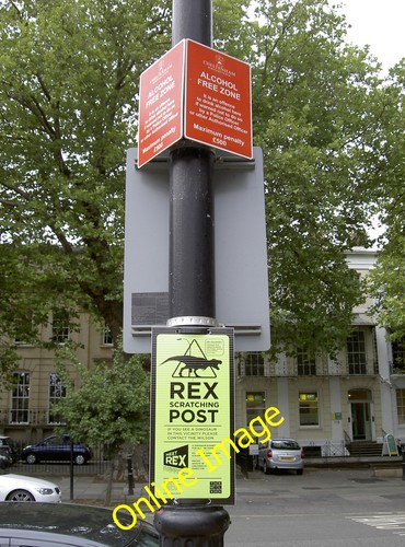 Foto 6x4 rex kratzbaum - 6x4,